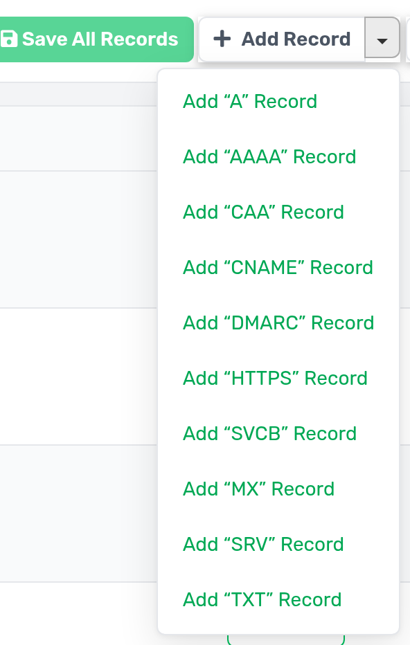 Avatud rippmenüü DNS-kirje tüübi valimiseks
